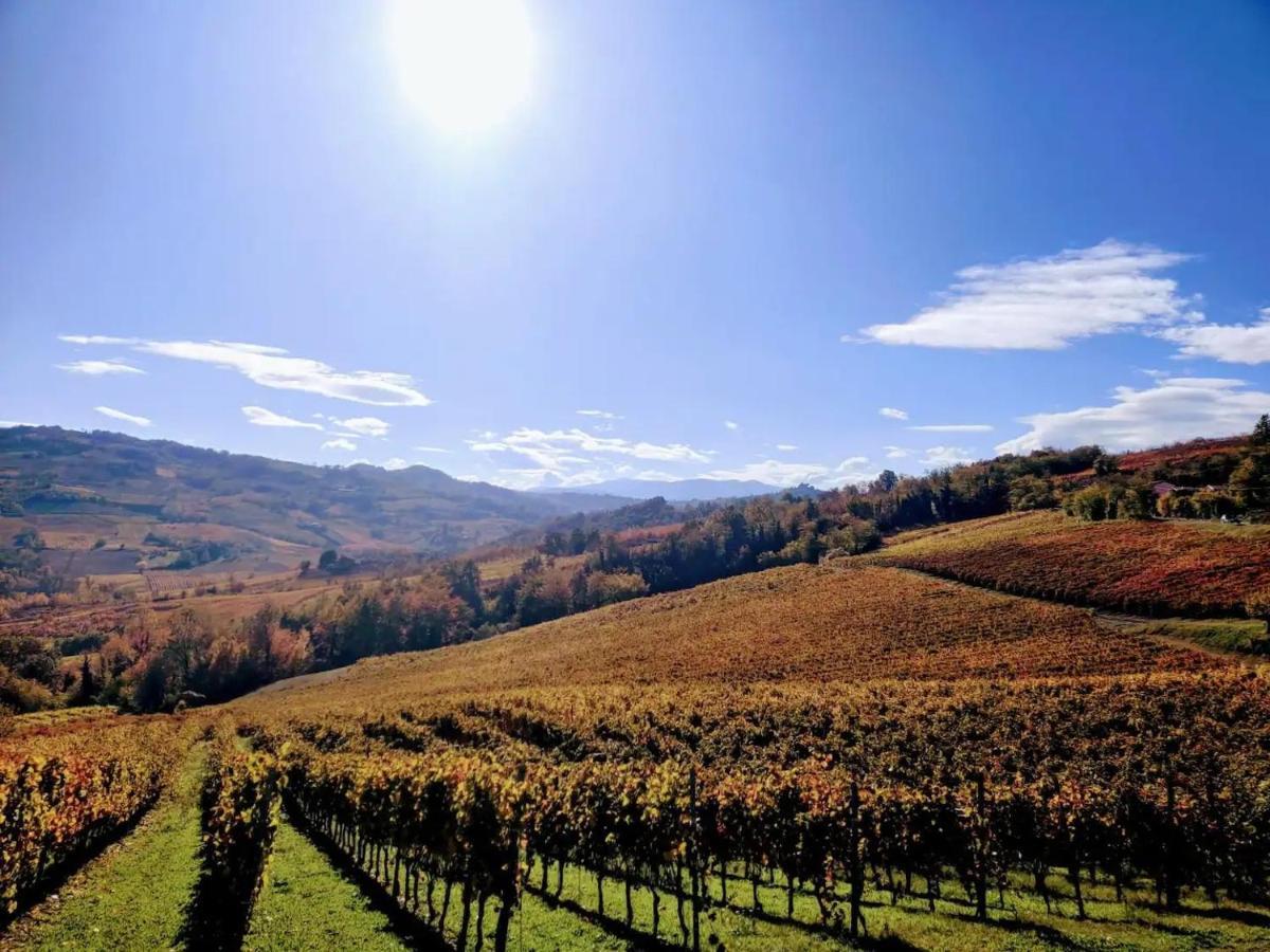 Casa In Campagna Oltrepo' Pavese Montecalvo Versiggia Exterior foto